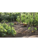 PODPERY PRE RASTLINY FLOO PODPERY ROZMERY 25 A 35 CM ZELENÁ LESNÁ ZELENÁ PODPERY PRE RASTLINY FLOO PODPERY ROZMERY 25 A 35 CM ZELENÁ LESNÁ ZELENÁ