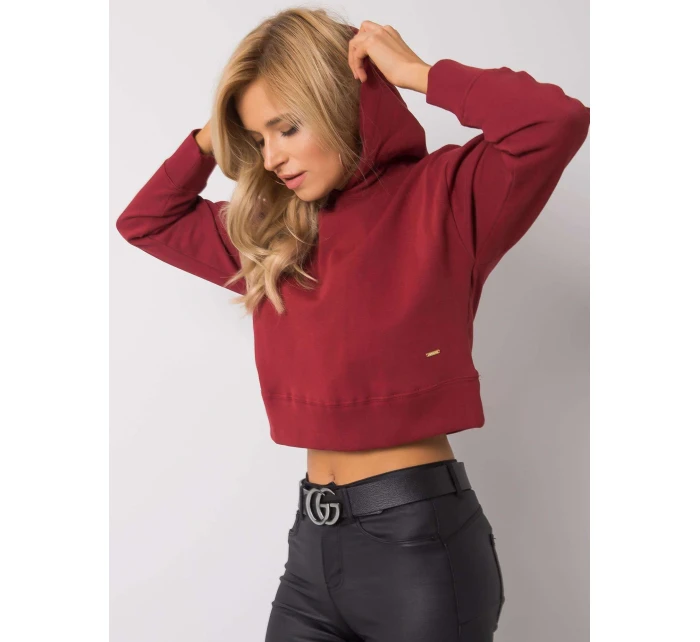 Mikina TW BL G 046.99 gaštanová