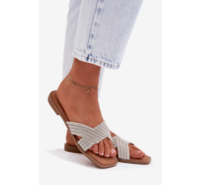 Dámské ploché stříbrné s kamínky Zinnia Dámské ploché stříbrné s kamínky Zinnia