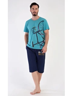 Pánske bermudy Dominik mint - Vienetta