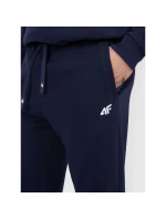 Pánske tepláky typu jogger 4F 4FRMM00TTROM1624-31S Pánske tepláky typu jogger 4F 4FRMM00TTROM1624-31S