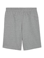 Puma pánske teamGOAL Casuals sivé 658608 33