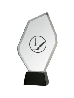 Gravírovaná sklenená trofej s puzdrom + náplň farby