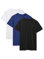 Pánské tričko 3  3PAK model 21849541 - 4F