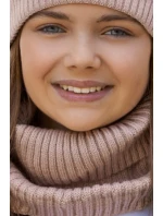 model 21471501 - AJS