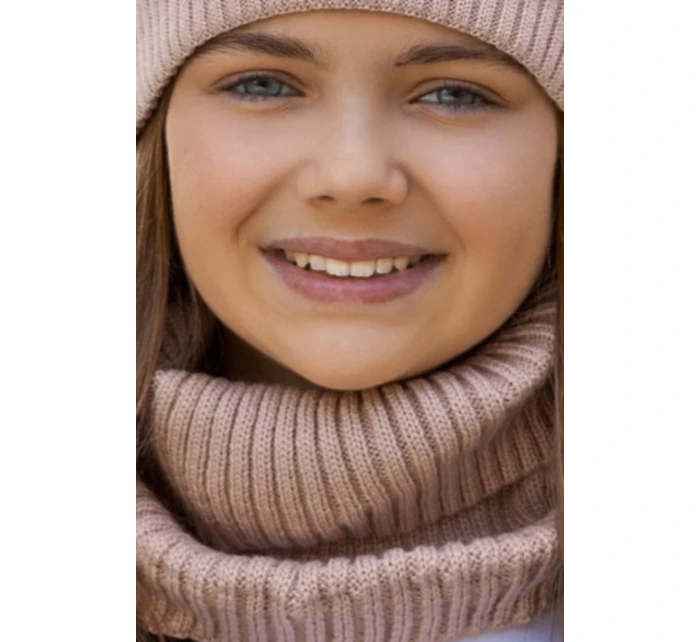 model 21471501 - AJS