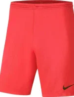 Pánske šortky Dry Park III NB KM BV6855 635 - Nike