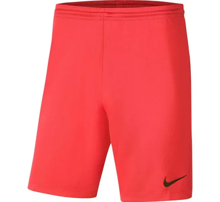 Pánské šortky Dry Park III NB K M   model 15976407 - NIKE