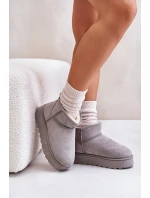 Dámské Sněhule Na Platformě Zateplené Kožíškem Šedé model 21672076 - Boto