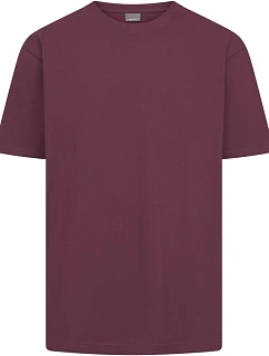Unisex tričko z těžké bavlny 40. burgundy model 22452292 - Promodoro