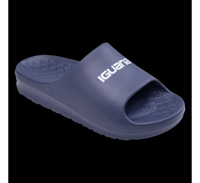 Pánske žabky NATUN