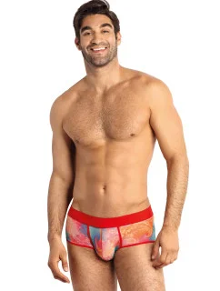 Pánske slipy Falcon brief - Anais