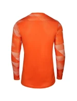 Pánska brankárska mikina Dry Park IV M CJ6066-819 - Nike Pánska brankárska mikina Dry Park IV M CJ6066-819 - Nike