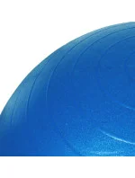 Gymnastický míč 65 cm s DK 2102 model 21155486 - PROfit