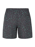 Pánske plážové šortky Protest PRTGROM