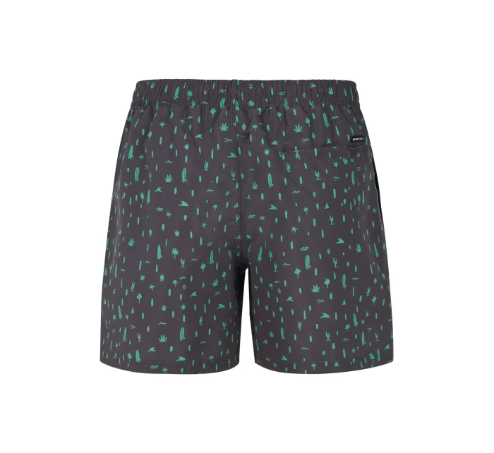 Pánske plážové šortky Protest PRTGROM