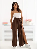 Spodnie CS SP model 22099801 ciemny brązowy - FPrice