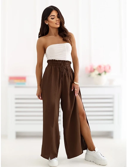 Spodnie CS SP model 22099801 ciemny brązowy - FPrice