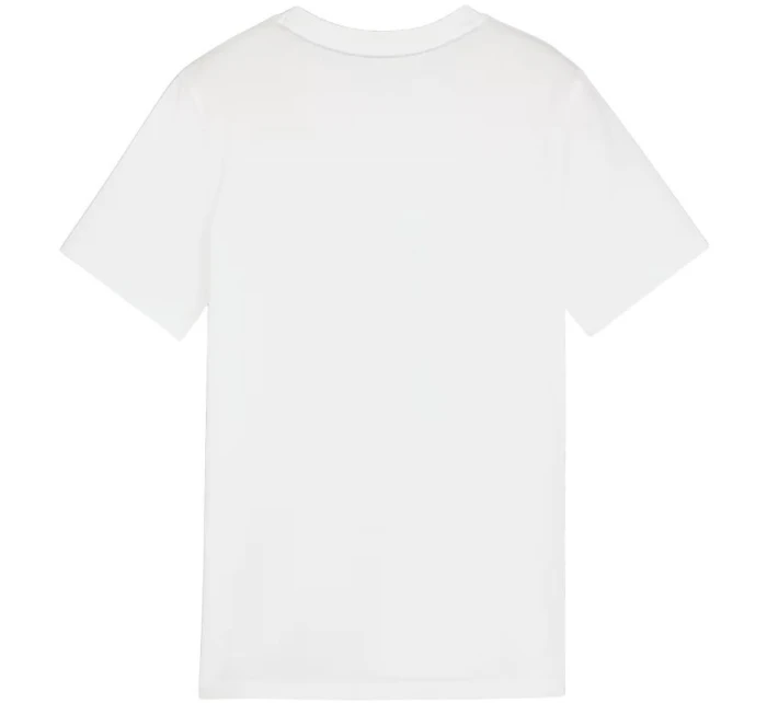 Team Goal Casuals Tee Jr tričko model 21368053 04 - Puma