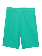 Detské šortky Puma ESS Small No.1 Logo, zelené, 692974, veľkosť 40 Detské šortky Puma ESS Small No.1 Logo, zelené, 692974, veľkosť 40