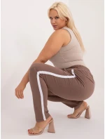 Tepláky RV DR 6643.95 hnedá Tepláky RV DR 6643.95 hnedá