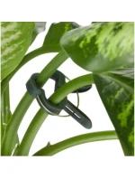 SPONKY NA RASTLINY 20KS KINZO SPONKY NA RASTLINY 20KS KINZO