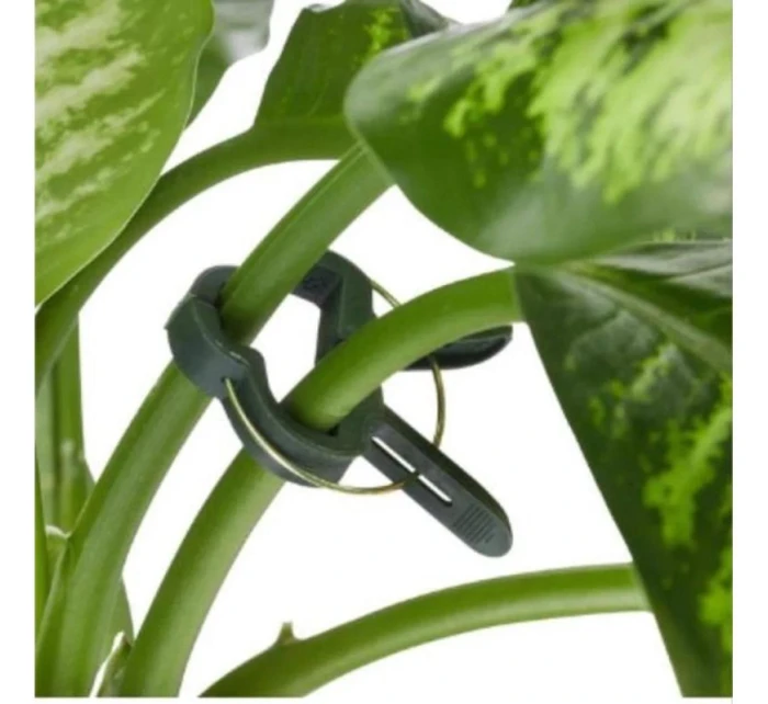 SPONKY NA RASTLINY 20KS KINZO SPONKY NA RASTLINY 20KS KINZO