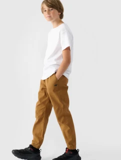 Chlapecké Kalhoty Jogger Casual Hladké Khaki model 21668686 - 4F
