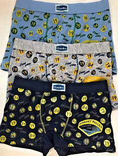 Dětské boxerky model 22066015 - Lovelygirl