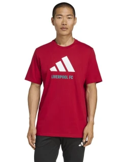 Adidas Liverpool FC Sezónne grafické tričko DNA 2 JY3466