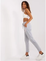 Spodnie dresowe RV DR model 19381472 szary - FPrice