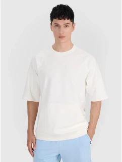 Pánská mikina bez kapuce s krátkým rukávem model 21436669 - 4F