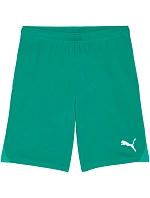 Pánske šortky Puma Team Goal Green 705752 05 Pánske šortky Puma Team Goal Green 705752 05