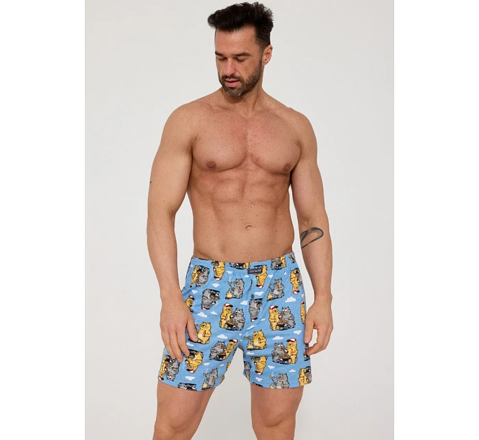 Pánské trenýrky model 22108740 - Cornette