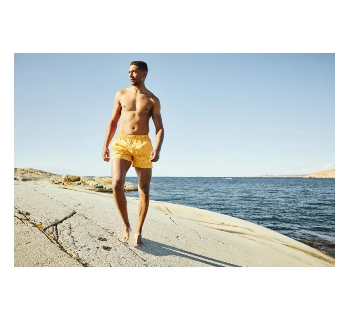 Helly Hansen pánske plavky Cadiz Trunk 34253 328