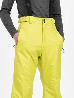 Pánske lyžiarske nohavice 4FH4Z22-SPMN001 zelené