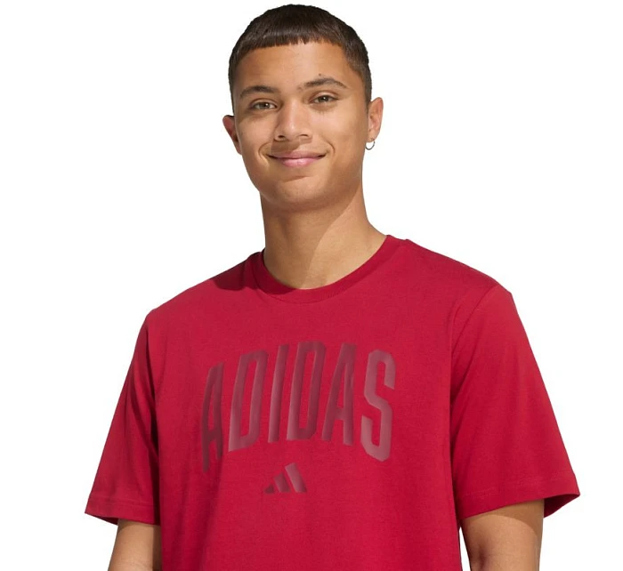 Pánske tričko adidas Collegiate Lineage red KH4593 pánske