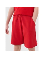 Chlapecké teplákové šortky model 22099218 - 4F