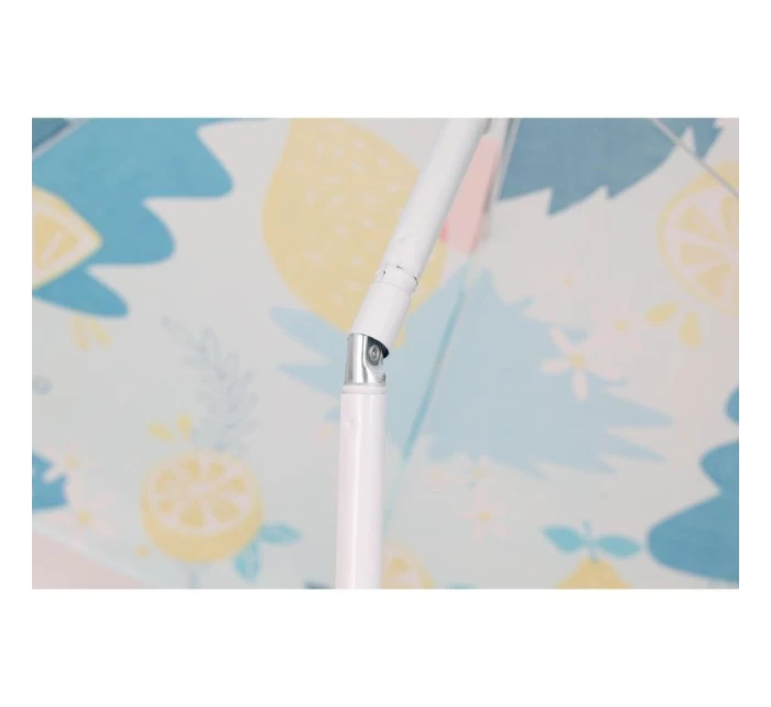 LEMON model 21830955