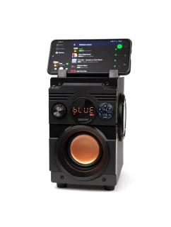 BLUETOOTH FM model 21861633