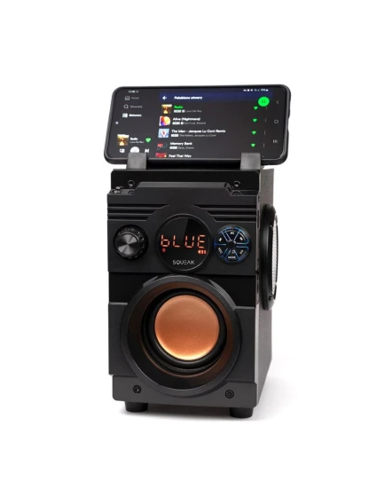 BLUETOOTH FM model 21861633