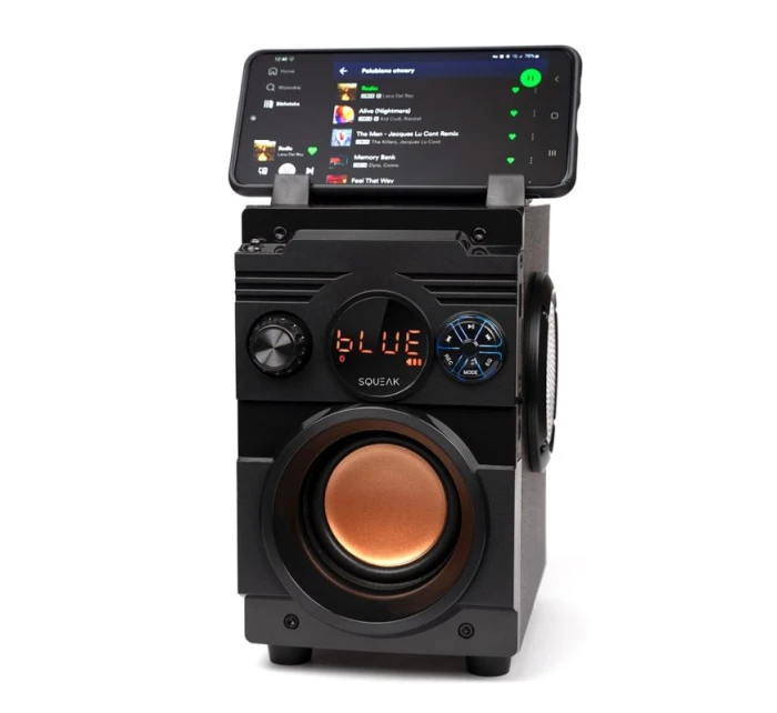 BLUETOOTH FM model 21861633