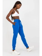 Teplákové nohavice model 169718 BFG Teplákové nohavice model 169718 BFG