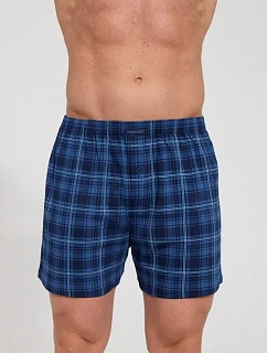 Pánské trenýrky Cornette comfort 008/348