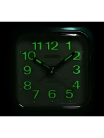 model 21804839 - CASIO model 21804839 - CASIO