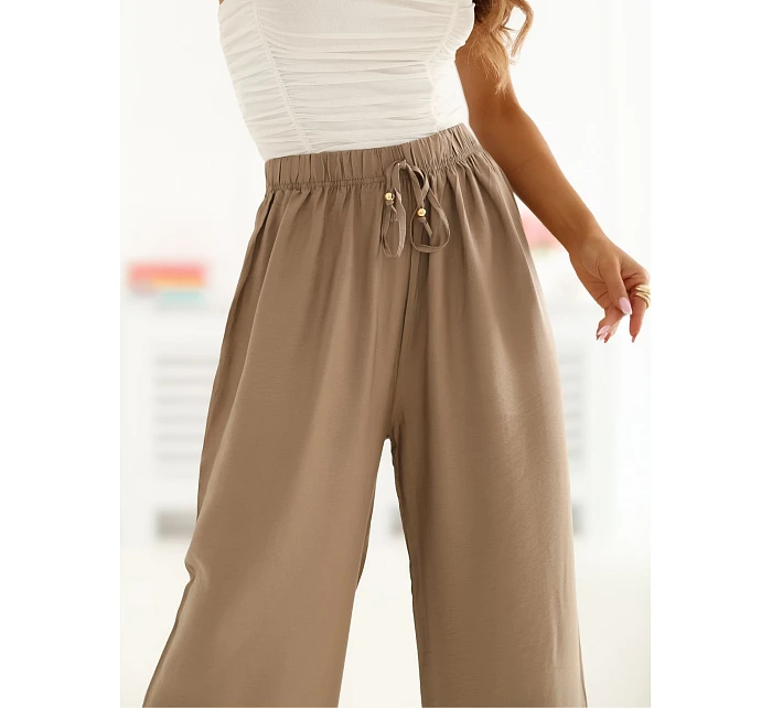 Spodnie CS SP model 22099825 ciemny bezowy - FPrice