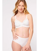Soft model 230065 Triumph