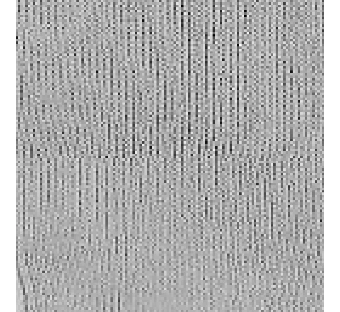 Cerberus 0626 pánske ponožky, netlakové 39-47