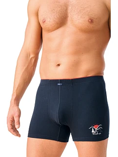 PÁNSKÉ BOXERKY MXH model 22084091 A26 3XL4XL - Key