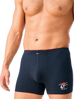 PÁNSKÉ BOXERKY MXH model 22084091 A26 3XL4XL - Key